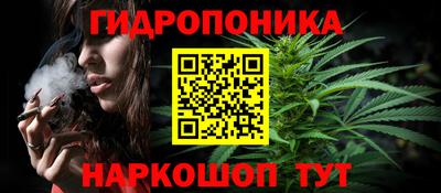 гашик Краснодар