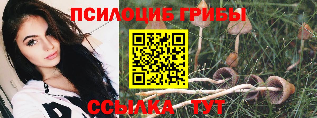 Псилоцибиновые грибы прущие грибы Уссурийск